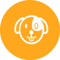 Diseño Innovador